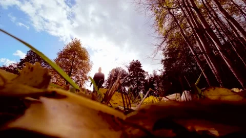 Person walking through autumn fall leaves Stock Footage 220299751