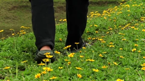 Person walking through blooming yellow wildflowers on a countryside embankment 스톡 동영상 337928874