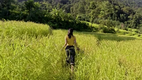 Person Walking Through a Bright Green Field and Forest Stock-Footage 340278035