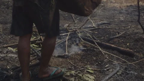 Person walking through a burnt forest extinguishing a fire Stock-Footage 332764997