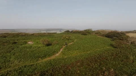 A person is walking through a field of grass Stock-Footage 297950886