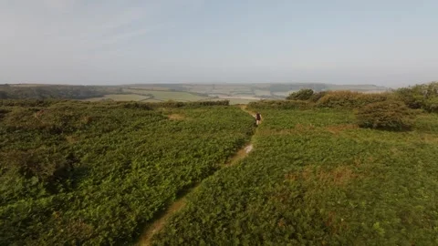A person is walking through a field of grass Stock Footage 297950944