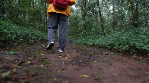 A person is walking through a forest with a backpack on Stock Footage 280981161