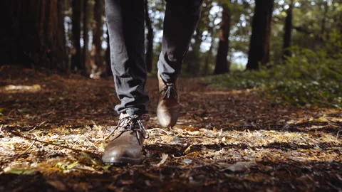 A person is walking through a forest with brown shoes Stock Footage 298261669