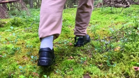 Person walking through green moss forest path in daylight Stock Footage 321242269