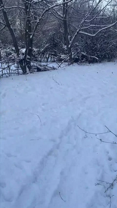 Person walking through snow covered forest Stock Footage 329319463