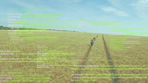 Person walking through wheat field with green code overlay animation Stock Footage 304843041