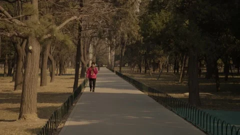 Person Walking on Tree-Lined Path in Park at Temple of Heaven, Beijing, China Stock Footage 345833029