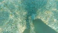 The person walking under the water HD Footage