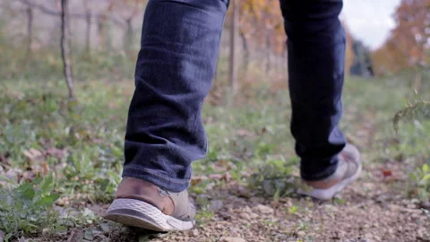 Person walking in vineyard Stock-Footage 233896427