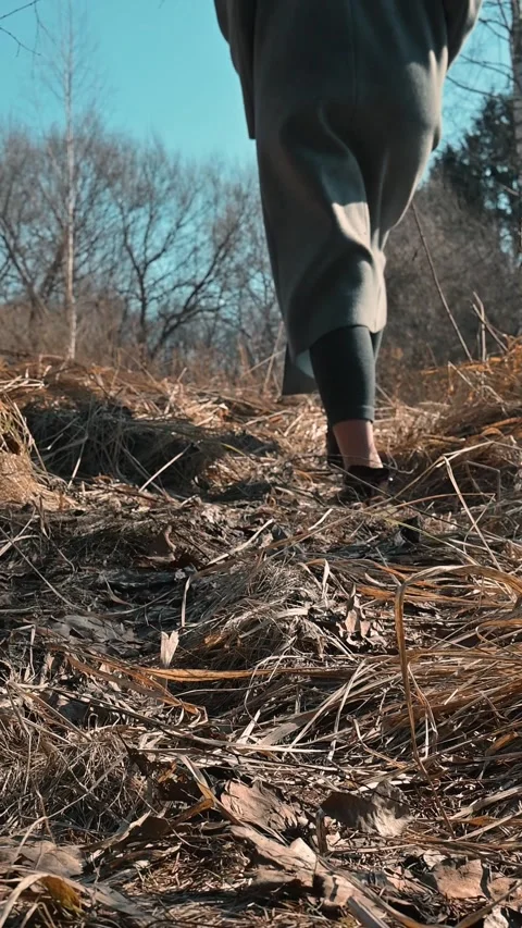 A person walks along a grassy path surrounded by natural elements. The scene 库存影片 337643017