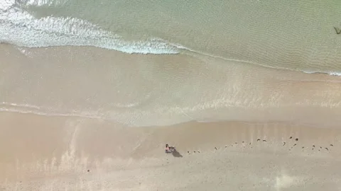 Person walks at the beach Stock Footage 270167803