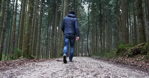Person walks on forest road Vidéo 102606759