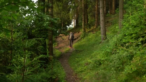 Person walks on a path in a forest and turns around after reaching a point 스톡 동영상 330476775