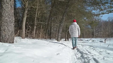A person walks on a snowy path surrounded by trees in a winter landscape. The 스톡 동영상 337101576