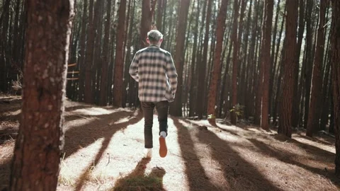 Person walks through dreamy pine forest through golden sunlight. Stock Footage 142298087