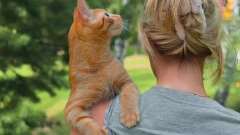 A person walks through a park while carrying an orange cat on their shoulder. Stock Footage 345876972