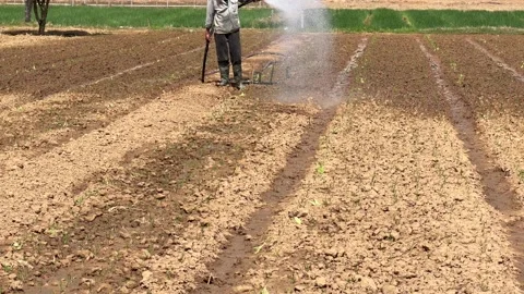 A person waters planted crop rows with a hose while standing on an open 스톡 동영상 325849738