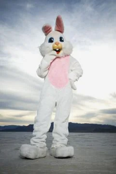 Person wearing a rabbit costume Stock Photos