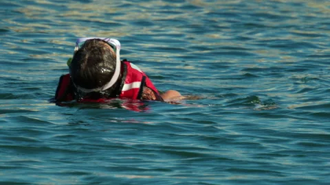 Person wearing a red life jacket, goggles, and snorkel exploring the blue ocean Stock Footage 339802459