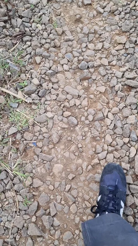 A person wearing a sneaker walking Video stock 337402977