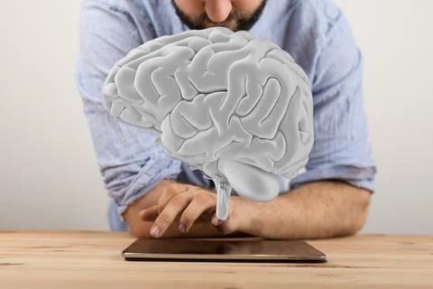 A person working with a 3D render of human brain - artificial intelligence co Stock Photos