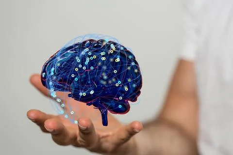A person working with a 3D render of human brain - artificial intelligence co Stock Photos