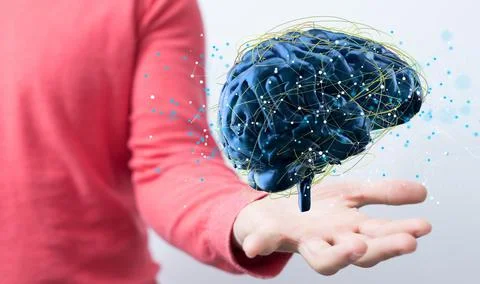 A person working with a 3D render of human brain - artificial intelligence co Stock Photos