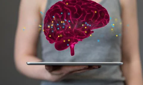 A person working with a 3D render of human brain - artificial intelligence co Stock Photos