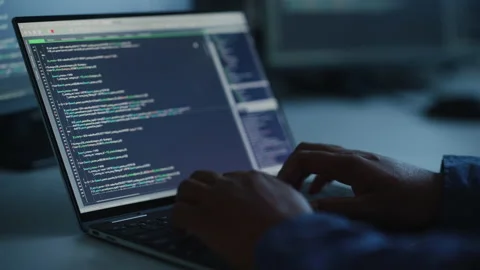 Person Working on Laptop Stock Footage 160361191