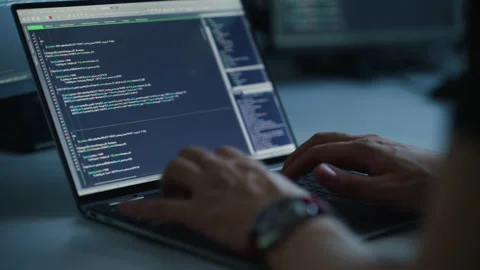 Person Working on Laptop Stock Footage 160361214