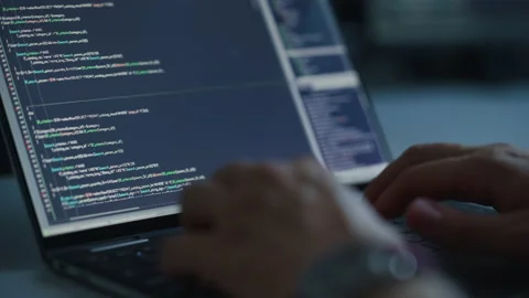 Person Working on Laptop Stock Footage 160361236