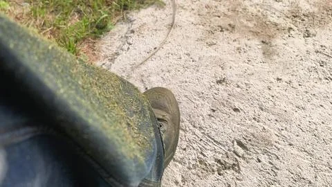 A person is working in the yard on a dirt path. Grass clippings are visible o Stock Photos