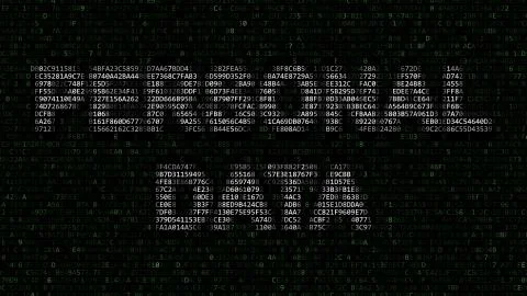 PERSONAL DATA words made of hexadecimal symbols on computer screen. 3D rendering イラスト素材