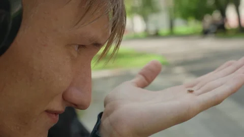 Personal moment of man inspecting small insect in park context, Intimate scene Vidéo 325525776