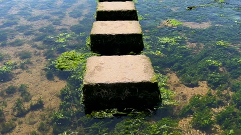 Personal perspective. Crossing shallow stream on stepping stones. 스톡 동영상 311518728