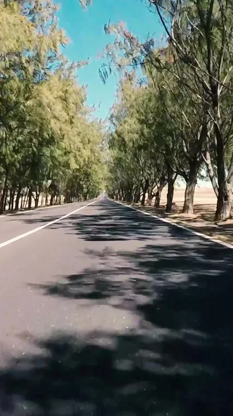 Personal perspective driving on a beautiful, empty asphalt road lined with Stock Footage 344842962
