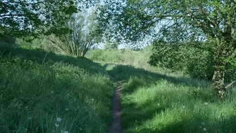 Personal perspective moving along a lush green countryside path Stock Footage 336902939