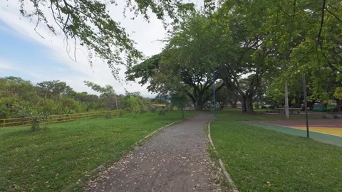 Personal perspective of walk in natural park with green trees on path 動画素材 338365035