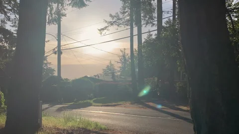 Personal perspective of walking on a footpath with view of setting sun. Stock Footage 132337757