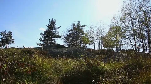 Personal perspective of walking on a path and rocks in high forest mountain Video stock 82672182