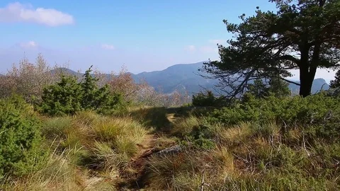 Personal perspective of walking on a path and rocks in high forest mountain Stock Footage 82677425