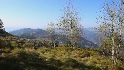 Personal perspective of walking on a path and rocks in high forest mountain Stock-Footage 82677520
