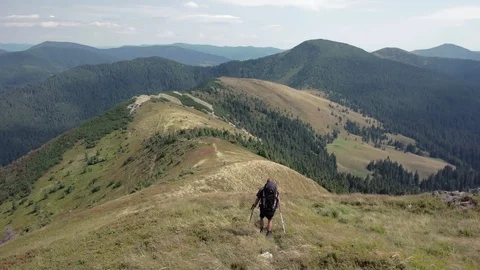 Personal Perspective of Walking on a Path in the Forest, Steady Cam Shot. Pov of Stock-Footage 88987949