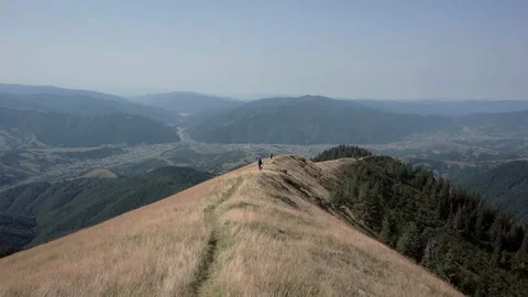 Personal Perspective of Walking on a Path in the Forest, Steady Cam Shot. Pov of Stock Footage 88987956