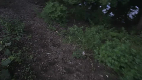 Personal perspective of walking on a path in the forest. Stock Footage 93119639