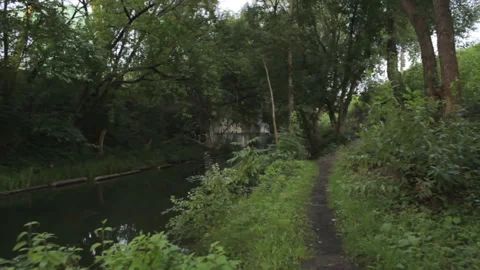 Personal perspective of walking on a path in the forest. Video stock 93427405