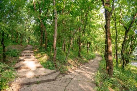 Personal perspective of walking on a path in the forest. Stock Photos