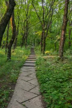 Personal perspective of walking on a path in the forest. Stock Photos