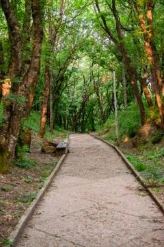Personal perspective of walking on a path in the forest Stock Photos